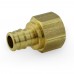 1/2” PEX Expansion x 1/2” FNPT Adapters, Lead-Free