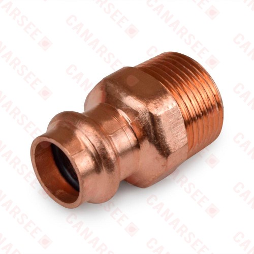 1/2" Press x 3/4" Male Threaded Adapter, Imported