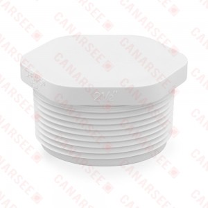 2-1/2" PVC (Sch. 40) Threaded Plug (MIP)