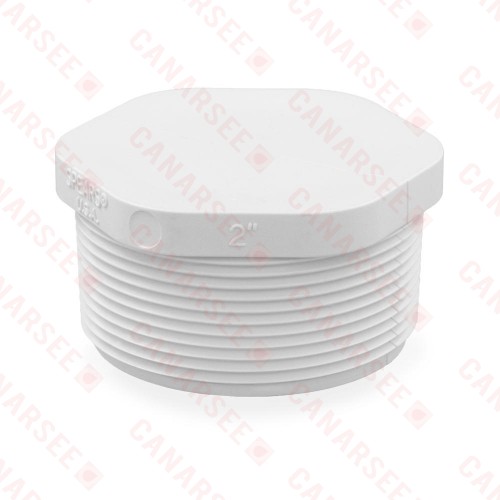 2" PVC (Sch. 40) Threaded Plug (MIP)