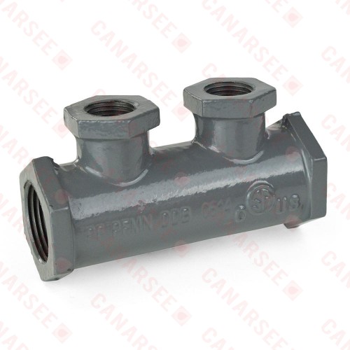 2-Branch Gas Manifold, 1" FIP Inlet/Outlet x 1/2" FIP Branches