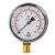 0-15" Water(H2O)/oz Pressure Gauge, 2-1/2" Dial, 1/4" NPT