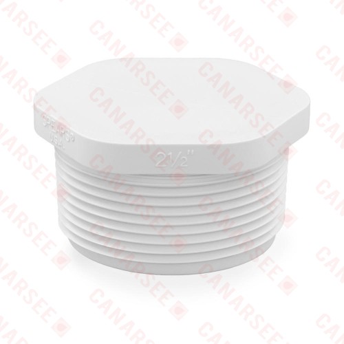 2-1/2" PVC (Sch. 40) Threaded Plug (MIP)