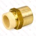 1/2" CPVC x 1/2" FIP (Female Threaded) Brass Adapter, Lead-Free