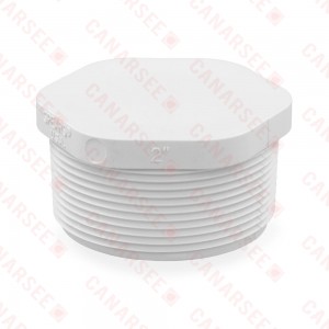 2" PVC (Sch. 40) Threaded Plug (MIP)