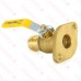 1" Press Flange Isolator Valve with Additional T-Handle LF