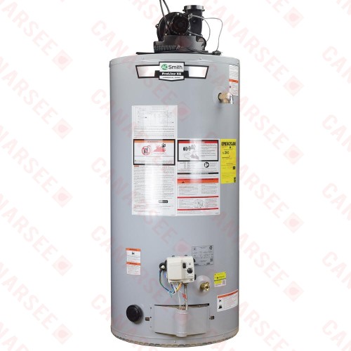50 gal, ProLine XE Power Vent Water Heater (NG)