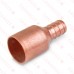 1/2" PEX x 3/4" Copper Fitting Adapter (Lead-Free Copper)