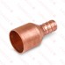 1/2" PEX x 3/4" Copper Pipe Adapter (Lead-Free Copper)