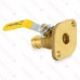  3/4" Press Flange Isolator Valve with Additional T-Handle LF