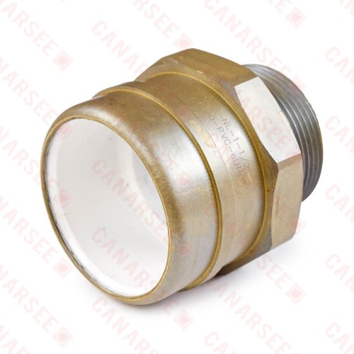 1-1/2" PVC x 1-1/2" MIP (Male Threaded) Brass Adapter, Lead-Free