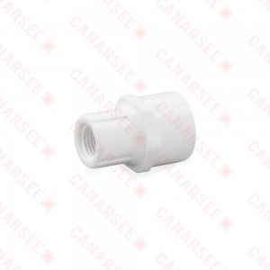 1/2" x 1/4" PVC (Sch. 40) Socket x FIP Adapter