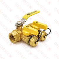 3/4” NPT Threaded Purge & Fill Ball Valve w/ Hose Drains