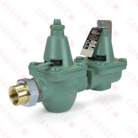 1/2" Threaded x Union Pressure Reducing/Boiler Fill Valve & Pressure Relief Valve