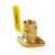 1" Threaded Isolator Flange Valve (Lead-Free)