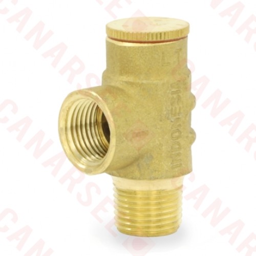 1/2" MPT, Pressure Relief Valve 100 psi (Lead-Free)..