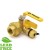 3/4” NPT Threaded Union Ball Valve w/ Hose Drain, Full Port (Lead-Free) 