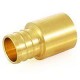 PEX x Copper Fitting Adapters