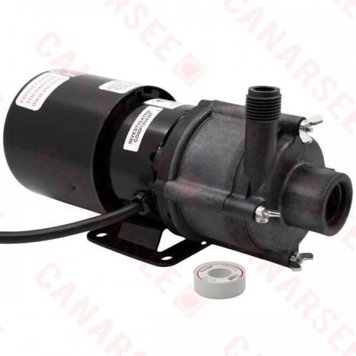 Magnetic Drive Pump for Highly Corrosive, 1/12HP, 115V