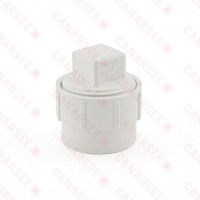 1-1/2" PVC DWV Cleanout Adapter (Spigot) w/ Plug
