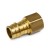 3/4" PEX x 1/2" Female Threaded F1960 Adapter, LF Brass