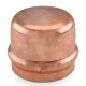 Copper Press Caps