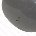 109-1 Fill-Trol 109 Expansion Tank With Fill Valve Amtrol (109) Expansion Tank  2.0 G 
