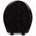 Bemis 200SLOWT (Black) Premium Plastic Soft-Close Round Toilet Seat