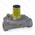 1/2" Gas Appliance & Line Pressure Regulator w/ Vent Limiter (325-3LV series)