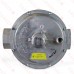 2" Gas Appliance & Line Pressure Regulator (325-9L series)