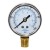 100 psi Pressure Gauge w/ 1/4" MNPT connection
