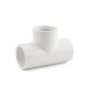 Sch 40 PVC Socket x FIP Tees