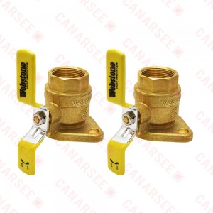 1-1/4" IPS Isolator Flange Valve