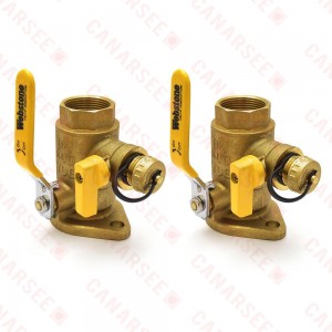 1-1/4" IPS Isolator Flange Valves with Drain
