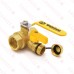 Webstone Valves 40614 1 inch Brass Ball Valve w/ Hose Drain, NPT Threaded, Full Port