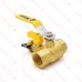 Webstone Valves 40614 1 inch Brass Ball Valve w/ Hose Drain, NPT Threaded, Full Port