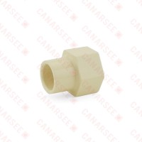1/2" CTS CPVC Female Adapter w/ Gasket (Socket x FIP)