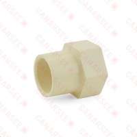 3/4" CTS CPVC Female Adapter w/ Gasket (Socket x FIP)