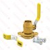 1" IPS Isolator Valve w/ Rotating Flange