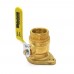 1-1/4" IPS Isolator Valve w/ Rotating Flange