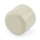 CTS CPVC Caps