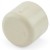1" CTS CPVC Cap (Socket)