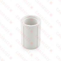 1/2" PVC (Sch. 40) FIP x FIP Coupling