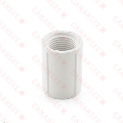 1/2" PVC (Sch. 40) FIP x FIP Coupling
