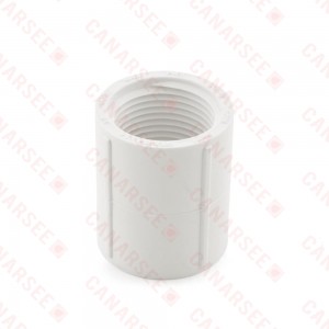3/4" PVC (Sch. 40) FIP x FIP Coupling