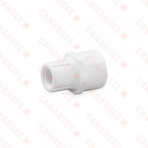 1/2" x 1/4" PVC (Sch. 40) Socket x FIP Adapter
