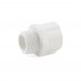 3/4" PVC (Sch. 40) MIP x Socket Adapter