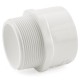 Sch 40 PVC MIP x Socket Adapters