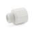 3/4" x 1" PVC (Sch. 40) MIP x Socket Adapter