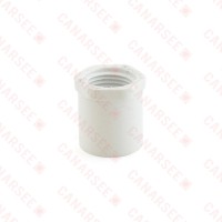3/4" x 1/2" PVC (Sch. 40) Spigot x FIP Bushing